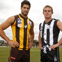 Hawks vs Collingwood Preview