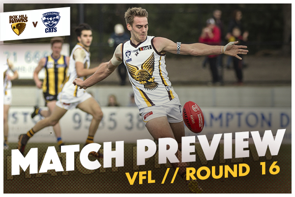 MATCH PREVIEW: VFL Round 16