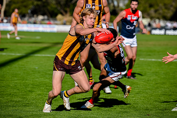 VFL Round 6 Match Report: Hawks Fall To First Loss of 2023