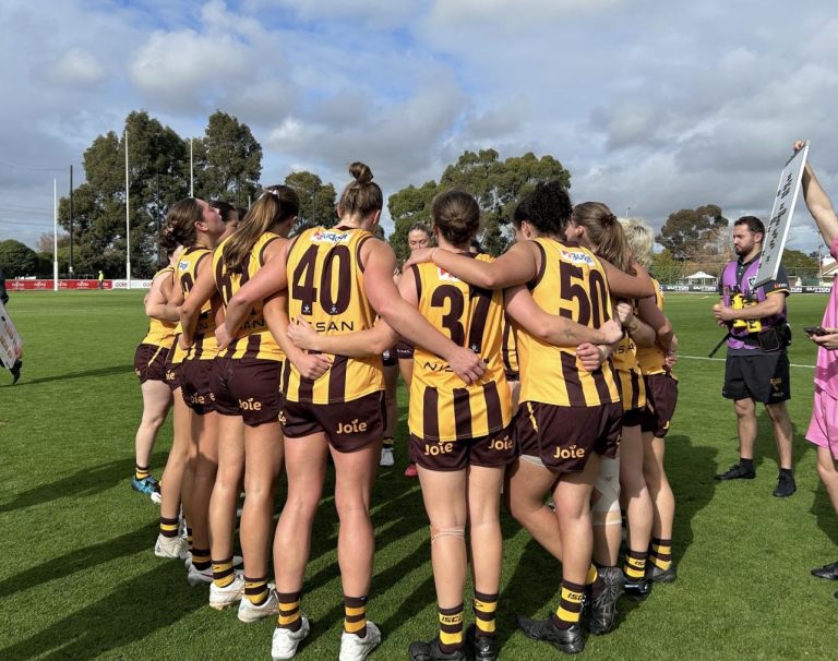 VFLW Match Report: Hawks fall short to Bombers in a disappointing defeat