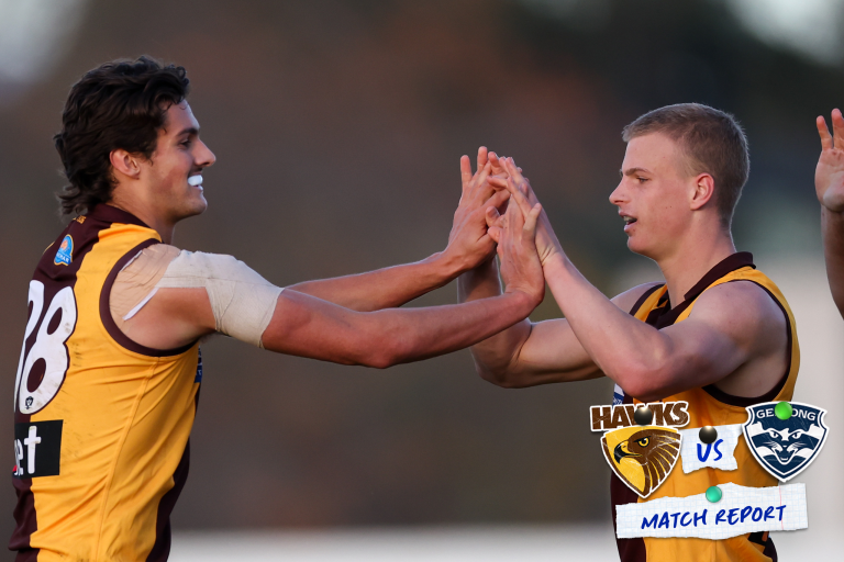 Match Report: Hawks Claw Cats