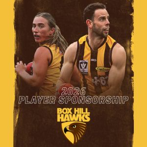 2026 VFL Player Sponsorship