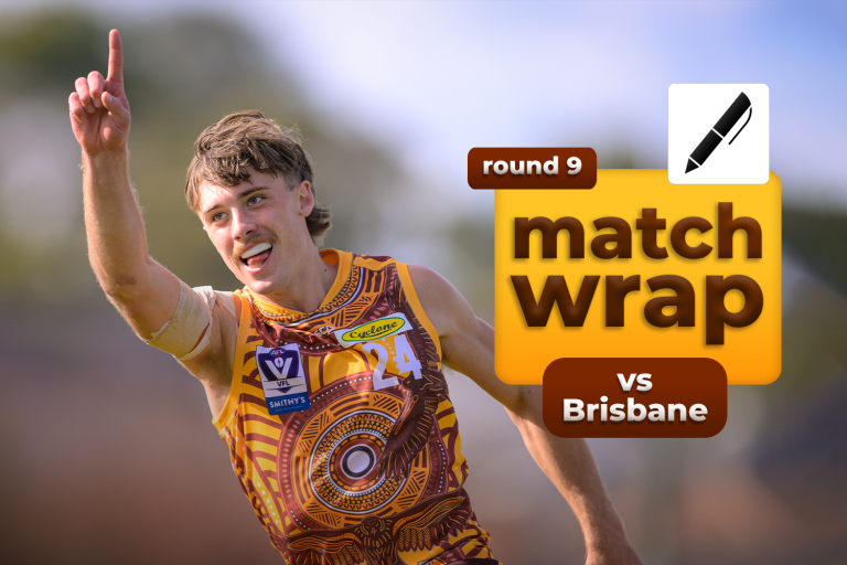 Match Report: Hawks Too Strong For Lions