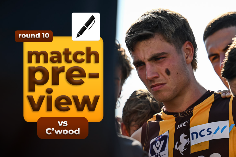 Preview: Hawks Host Pies