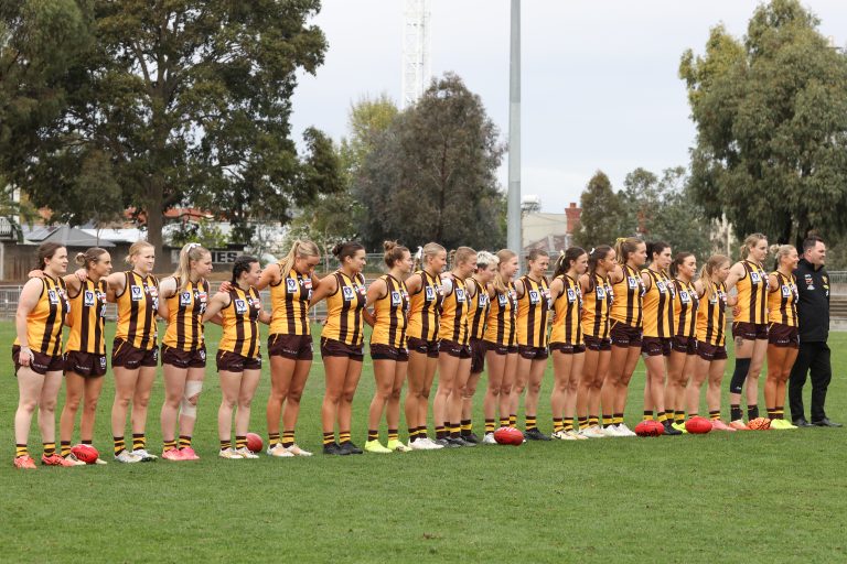VFLW Match Report: Late surge falls short