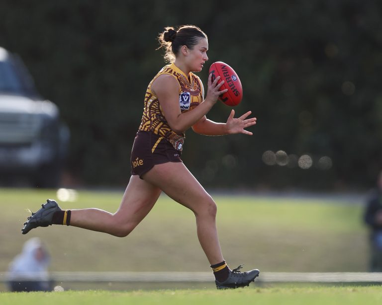 VFLW Match Report: Hawks claw back
