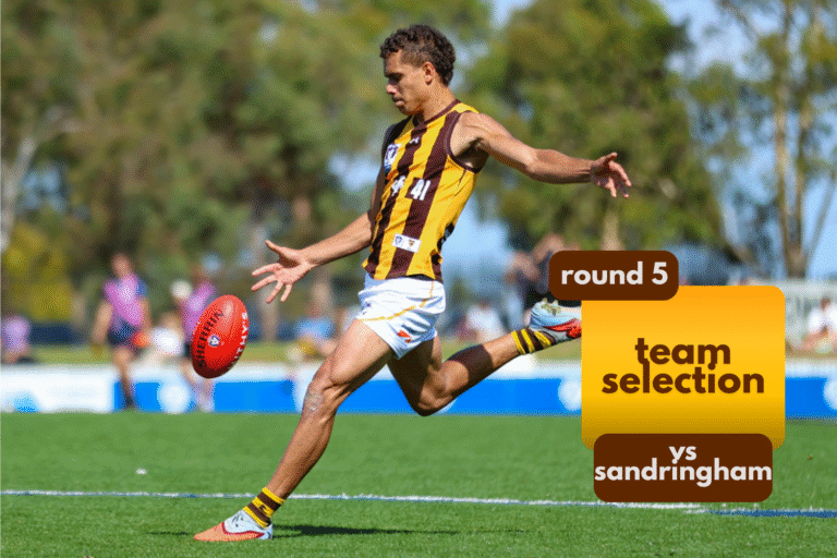 Hawks Set for a Bayside Battle Against Sandringham