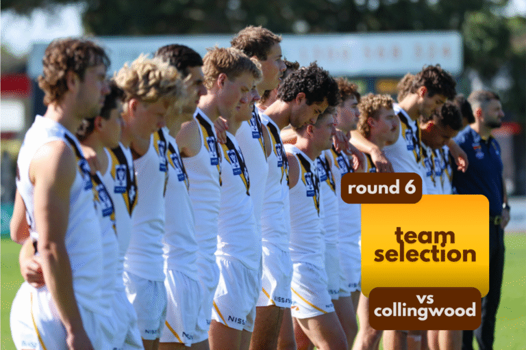 Hawks host Pies honouring 500 Games under lights