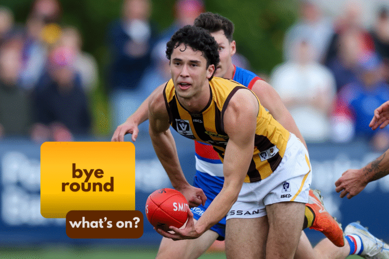 Hawks represent in the State Game